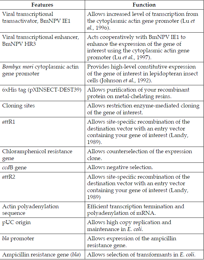 pXINSECT-DEST39 载体特征